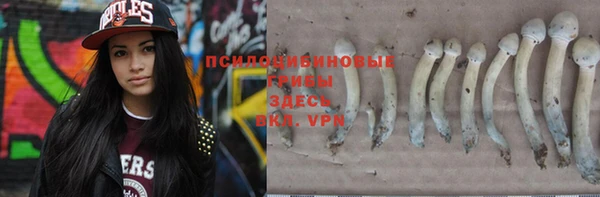 Альфа ПВП Балахна