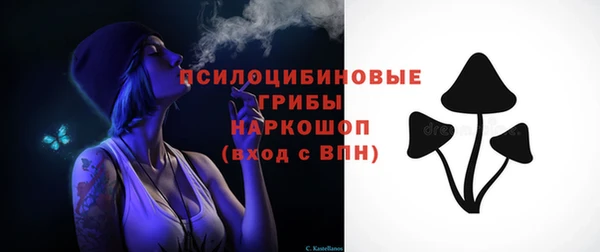 гидра Белокуриха