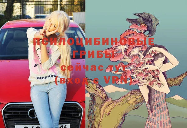 apvp Баксан